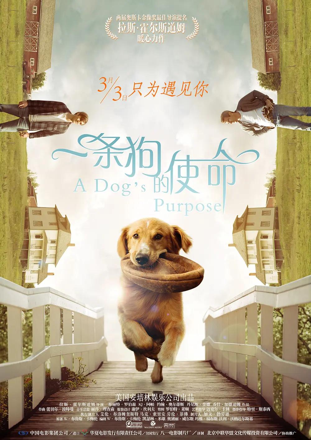蜜臀传媒mv在线播放(🏒)