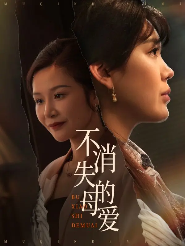 《不消失的母爱》全集高清完整版在线观看与剧情解析