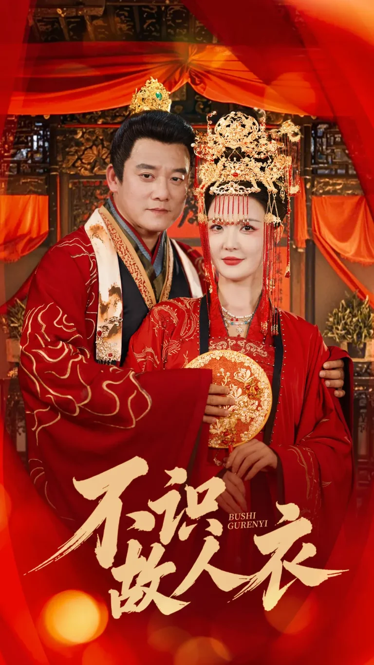 《不识故人衣》深度内容解析