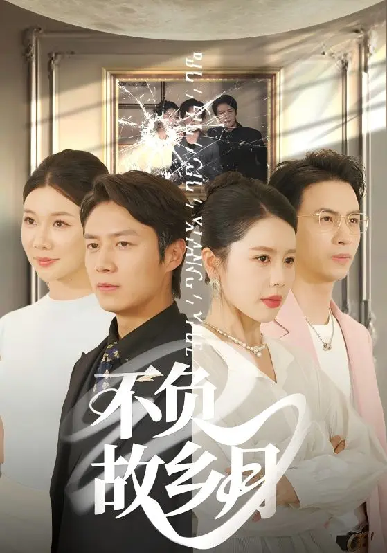 《不负故乡月》深度内容解析