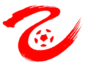 中乙 武汉三镇B队vs泉州亚新20250329