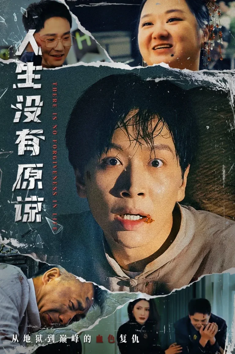 《人生没有原谅》全集高清完整版在线观看与剧情解析