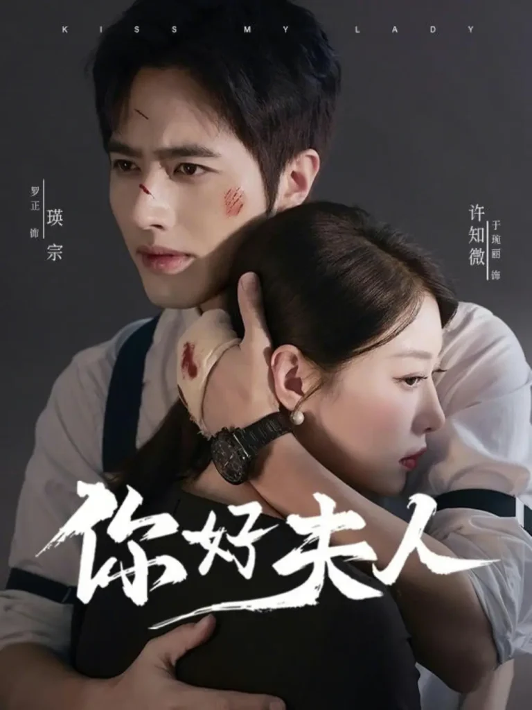 《你好夫人》全集高清完整版在线观看与剧情解析