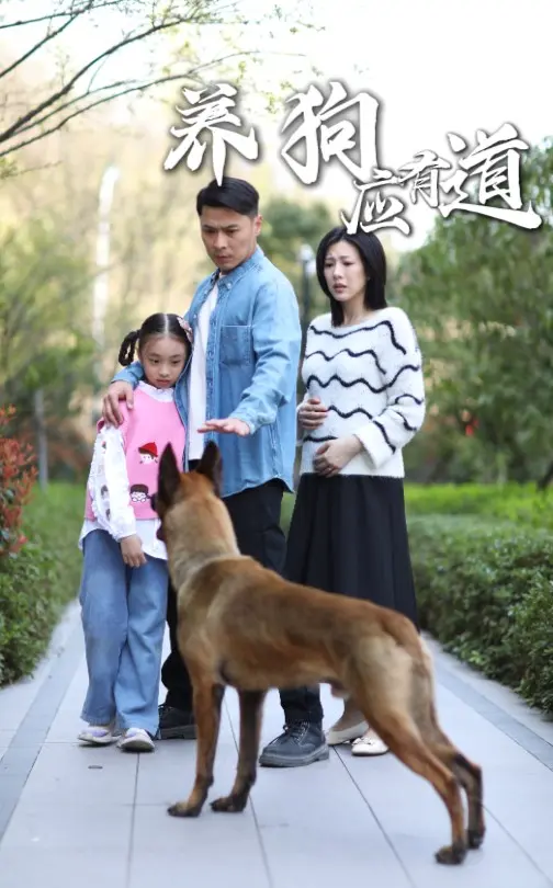 《养狗应有道》深度内容解析