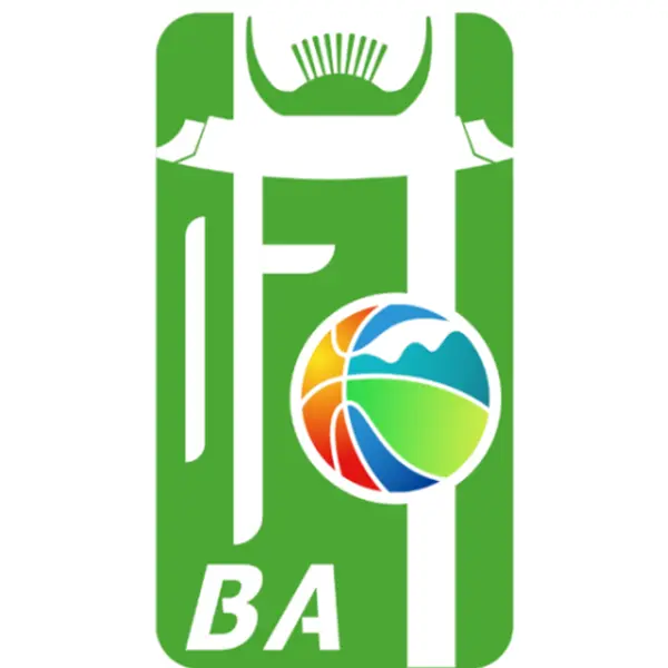 《和美乡村篮球赛 DAY2培丰会场20251028》深度内容解析