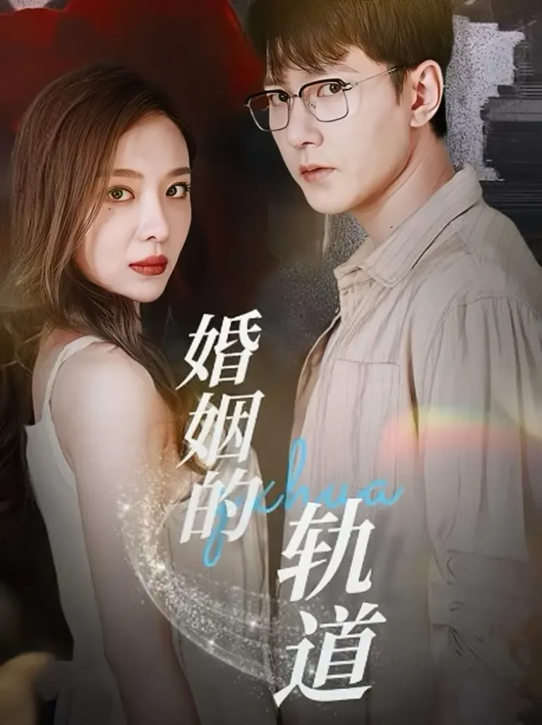 《婚姻的轨道》深度内容解析