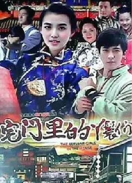 《宅门里的丫鬟们》深度内容解析