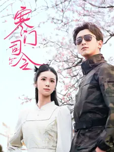 《寒门司令》深度内容解析