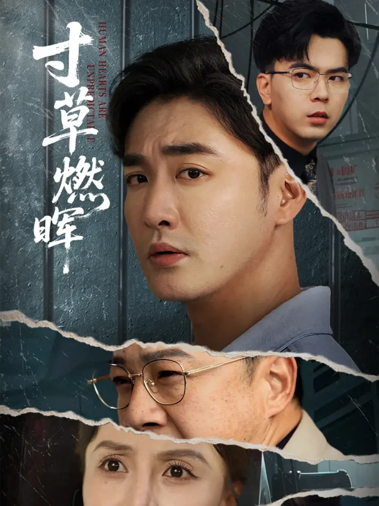 《寸草燃晖》全集高清完整版在线观看与剧情解析