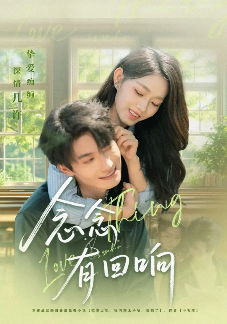 《念念有回响》全集高清完整版在线观看与剧情解析