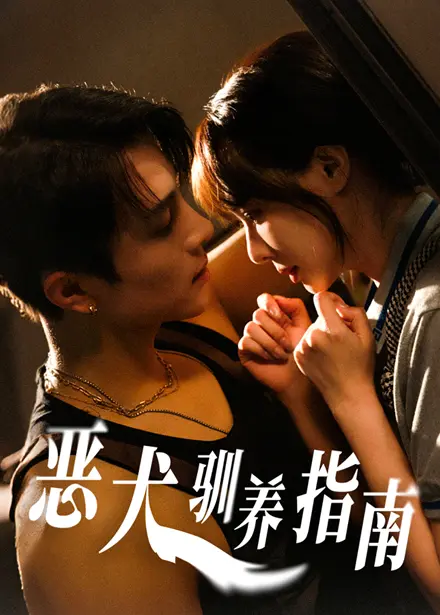 《恶犬驯养指南》深度内容解析
