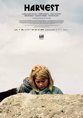 《收成2024》深度内容解析