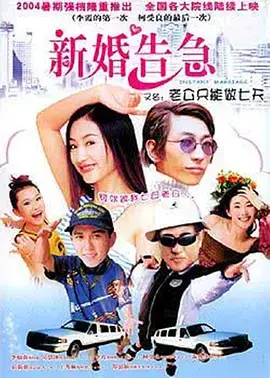 《新婚告急2004》全集高清完整版在线观看与剧情解析