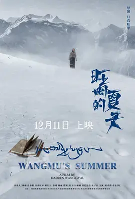 《旺姆的夏天》全集高清完整版在线观看与剧情解析