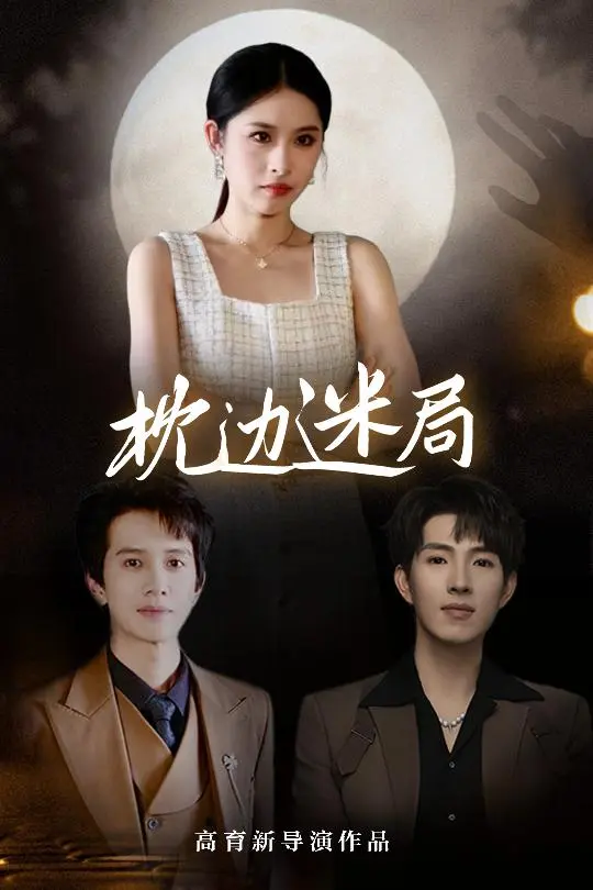 《枕边迷局》深度内容解析