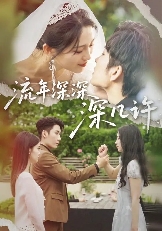 《流年深深深几许》深度内容解析