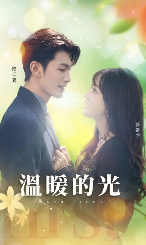 《温暖的光》深度内容解析