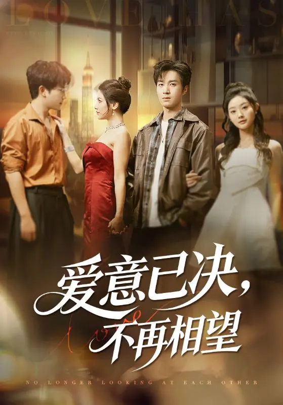 《爱意已决不再相望》深度内容解析