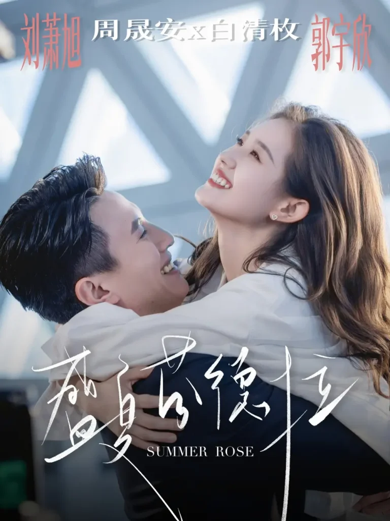 《盛夏芬德拉》深度内容解析