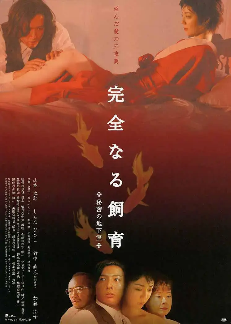 《禁室培欲4：秘密地下室》全集高清完整版在线观看与剧情解析