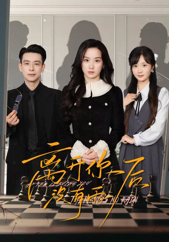 《离开你后没有雨》全集高清完整版在线观看与剧情解析