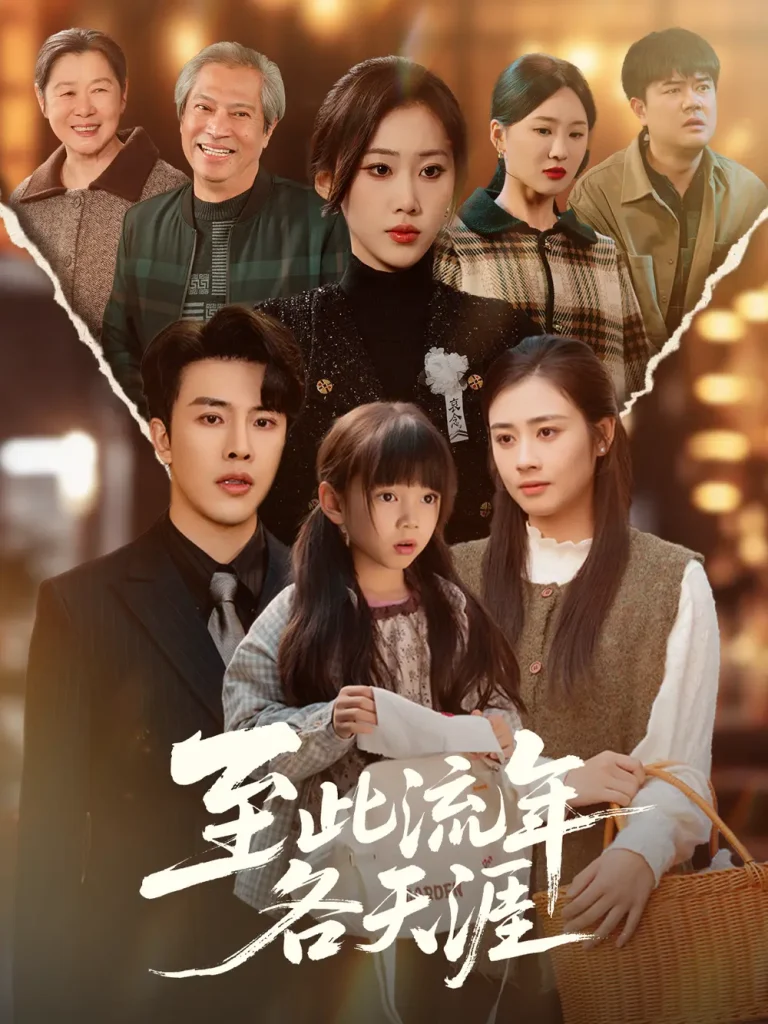 《至此流年各天涯》深度内容解析