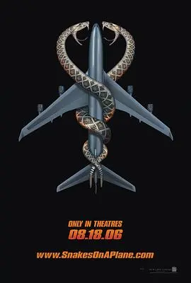 《航班蛇患》深度内容解析