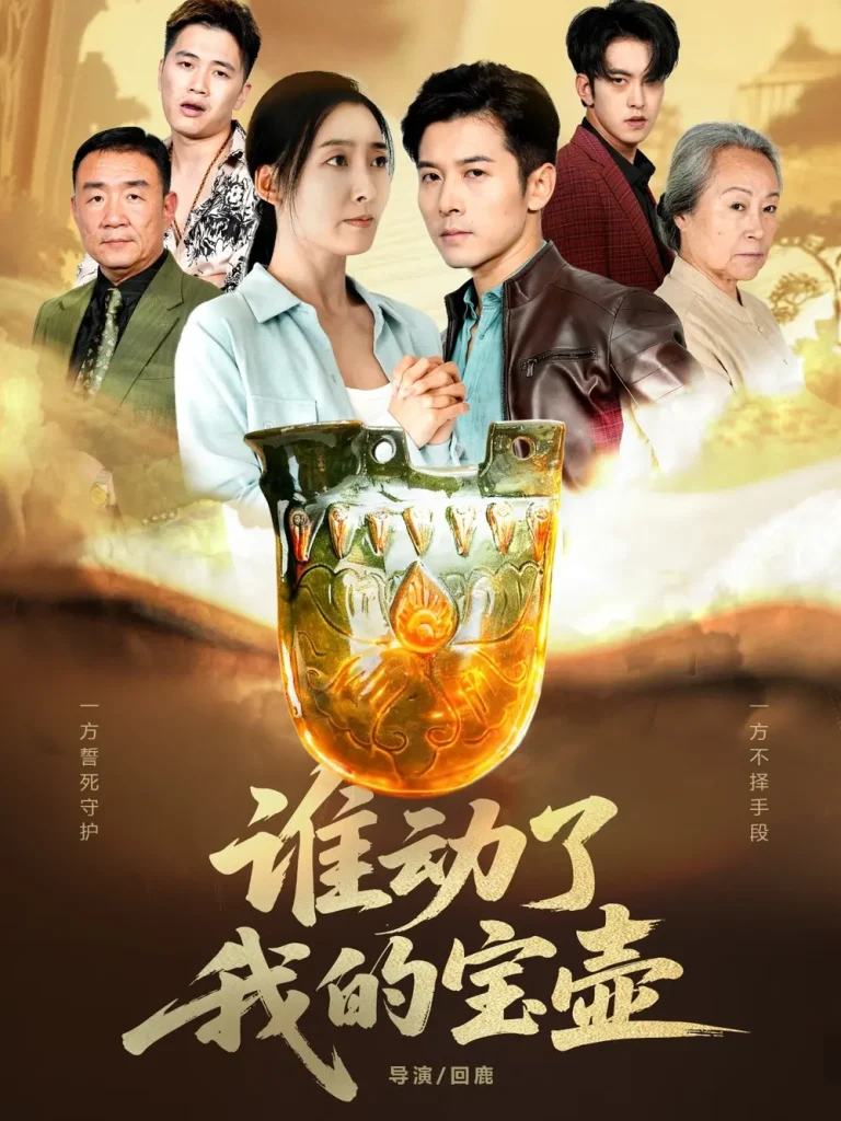 《谁动了我的宝壶》全集高清完整版在线观看与剧情解析