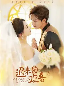 《迟来的欢喜》全集高清完整版在线观看与剧情解析