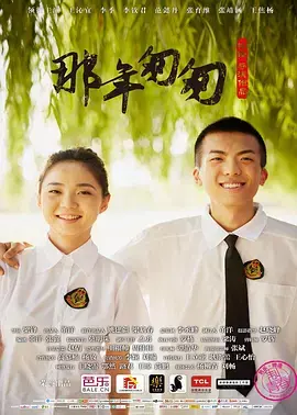 《那年匆匆》深度内容解析