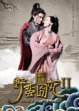 《野蛮囧妃2：迷雾重重》深度内容解析