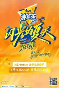 闪光的夏天第二季（加更版）