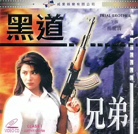 《黑道兄弟》全集高清完整版在线观看与剧情解析