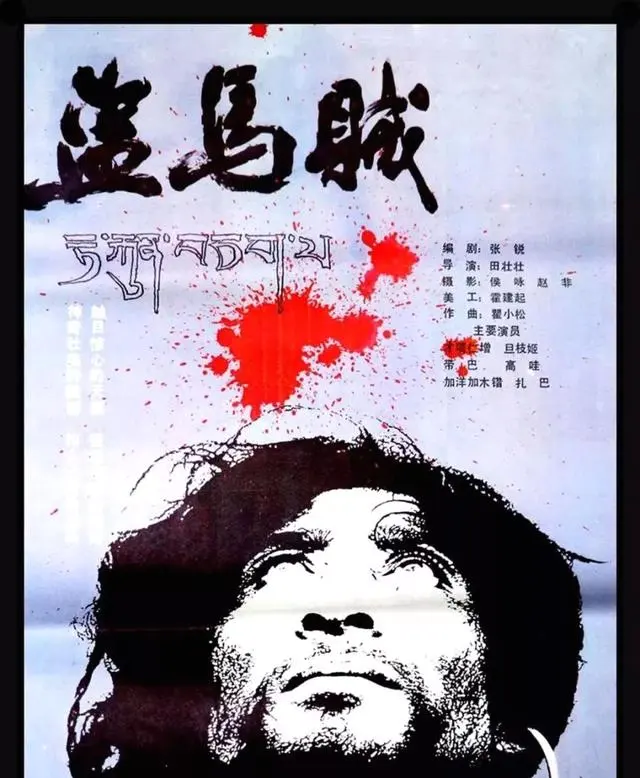 舒琪以多重身份推动华语电影发展 _ 相关图片
